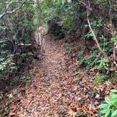 Review photo of Davidson River Campground by Carly E., February 22, 2019