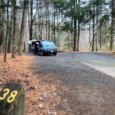 Review photo of Davidson River Campground by Carly E., February 22, 2019