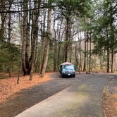 Review photo of Davidson River Campground by Carly E., February 22, 2019