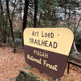 Review photo of Davidson River Campground by Carly E., February 22, 2019