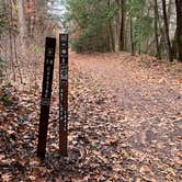 Review photo of Davidson River Campground by Carly E., February 22, 2019