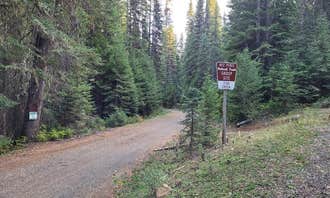 Camping near Nez Perce National Forest Newsome Campground: Fish Creek Group Use, Grangeville, Idaho