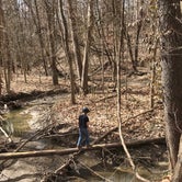 Review photo of Ouabache Trails County Park by Gina J., February 22, 2019