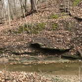 Review photo of Ouabache Trails County Park by Gina J., February 22, 2019
