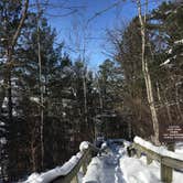 Review photo of Pine Ridge Campground — Itasca State Park by Janet R., February 23, 2019