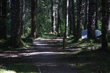 Camper-submitted photo at Bartlett Cove Campground — Glacier Bay National Park near Hoonah, AK