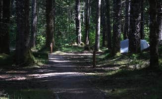 The Dyrt's photo at Bartlett Cove Campground — Glacier Bay National Park near Hoonah, AK
