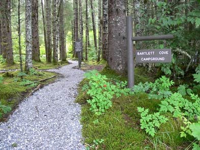 Camper-submitted photo at Bartlett Cove Campground — Glacier Bay National Park near Hoonah, AK