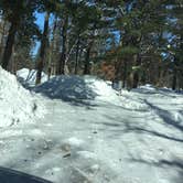 Review photo of Pine Ridge Campground — Itasca State Park by Janet R., February 23, 2019