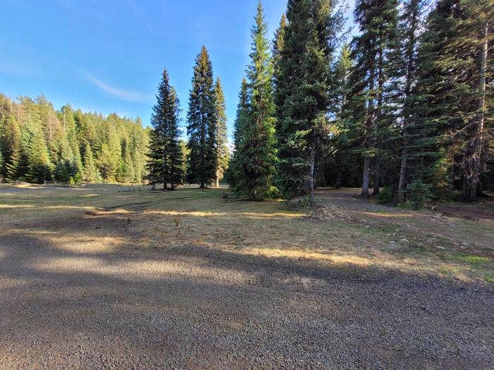 Camper submitted image from Fish Creek Group Use - 2