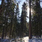 Review photo of Pine Ridge Campground — Itasca State Park by Janet R., February 23, 2019