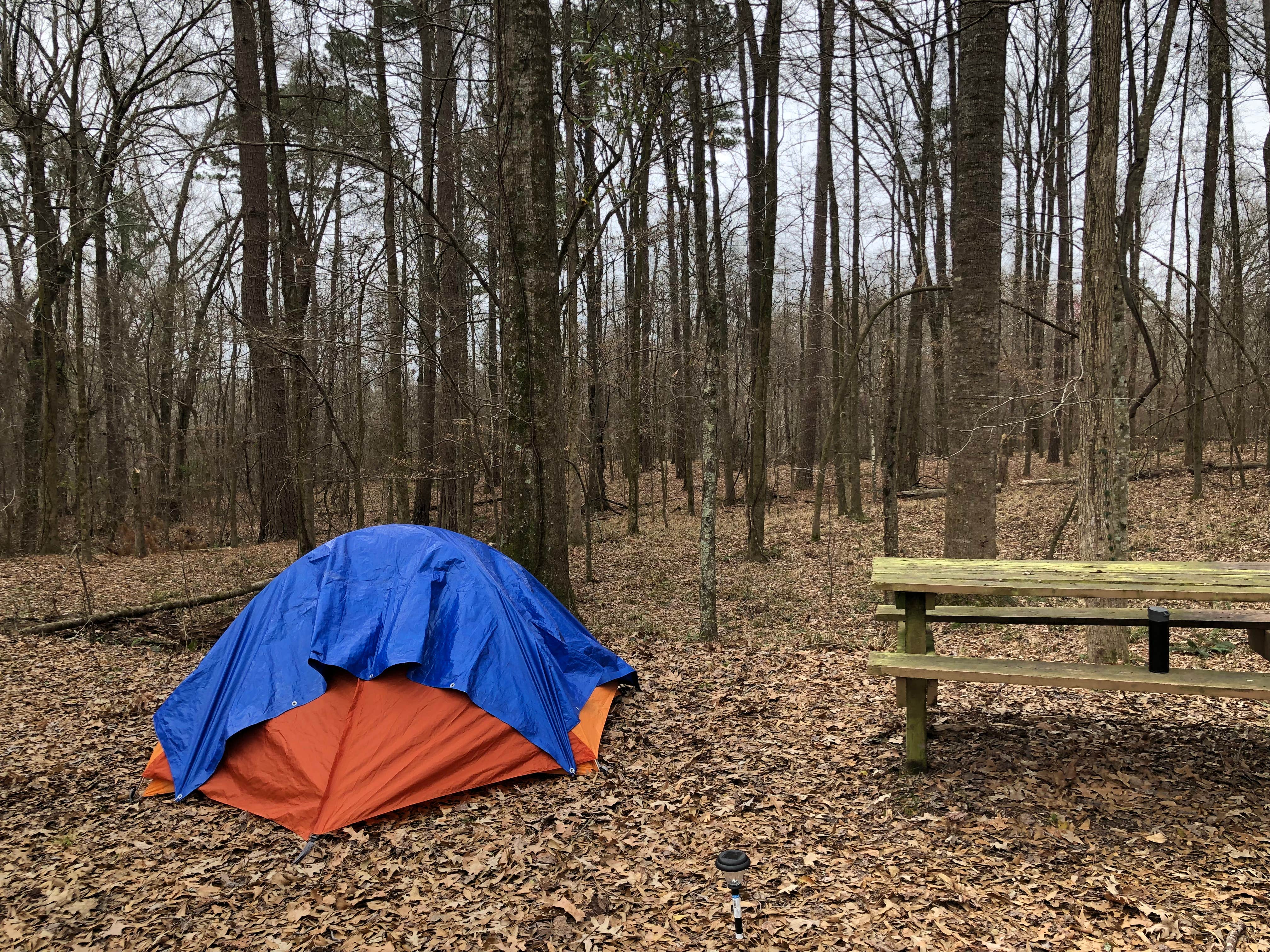 Camper submitted image from Natchez State Park Campground - 3