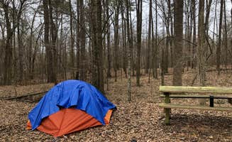 Deborah C.'s photo at Natchez State Park Campground near Homochitto National Forest