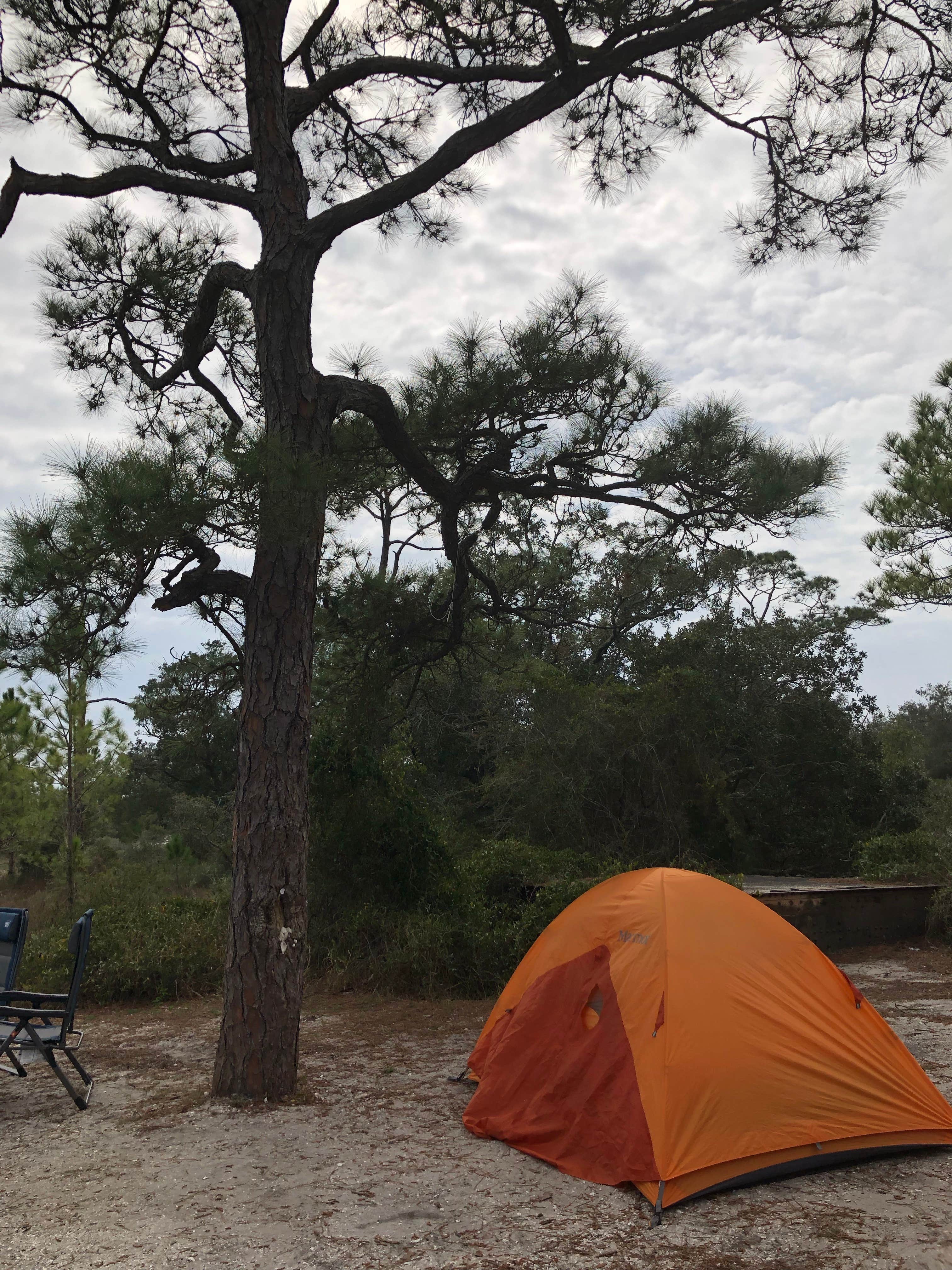 Deborah C.'s photo at Fort Pickens Campground — Gulf Islands National Seashore near Pensacola Beach, FL