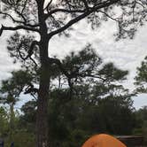 Review photo of Fort Pickens Campground — Gulf Islands National Seashore by Deborah C., February 23, 2019