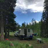 Review photo of Dispersed Camping--Mill Hollow/Utah FR054 by Clayton M., February 23, 2019