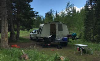 Clayton M.'s photo of tent camping at Dispersed Camping--Mill Hollow/Utah FR054 near Tabiona, UT