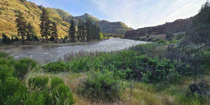 Camper submitted image from Muleshoe Campground