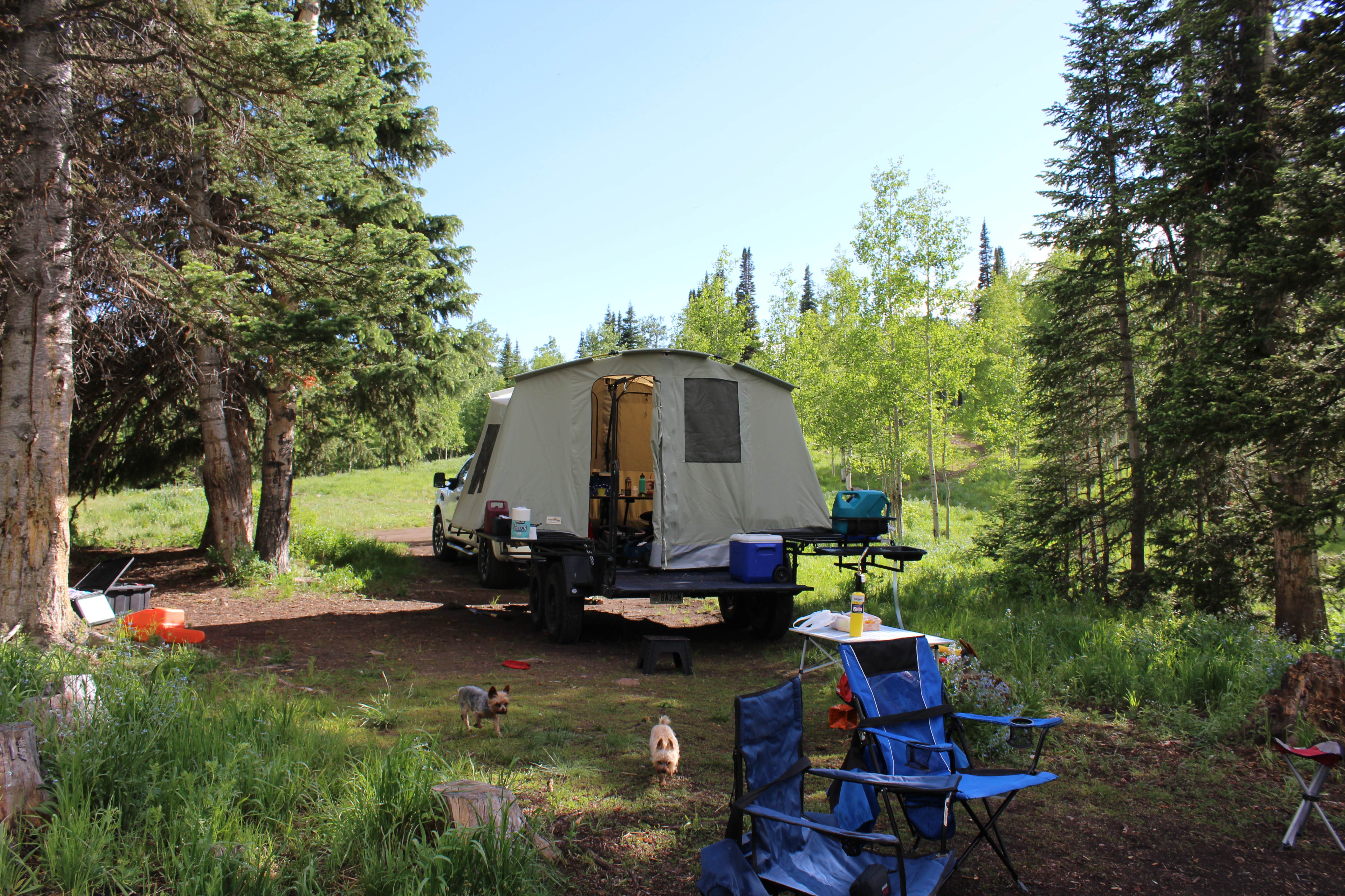 Clayton M.'s photo of tent camping at Dispersed Camping--Mill Hollow/Utah FR054 near Morgan, UT
