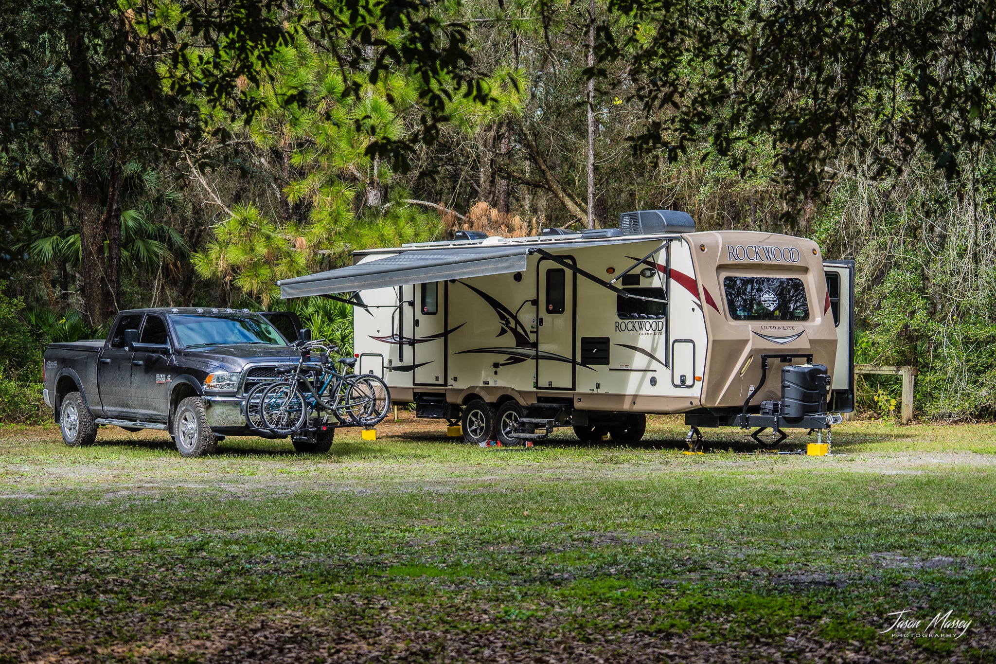 Camper submitted image from Green Swamp — Hampton Tract - 2