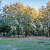 Review photo of Green Swamp — Hampton Tract by Meandering Life , February 24, 2019