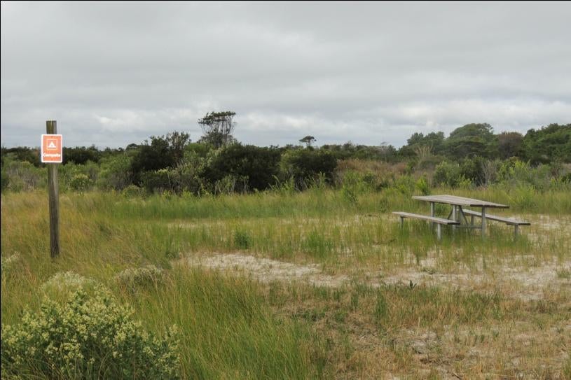 Camper submitted image from State Line Backcountry Site — Assateague Island National Seashore - 1