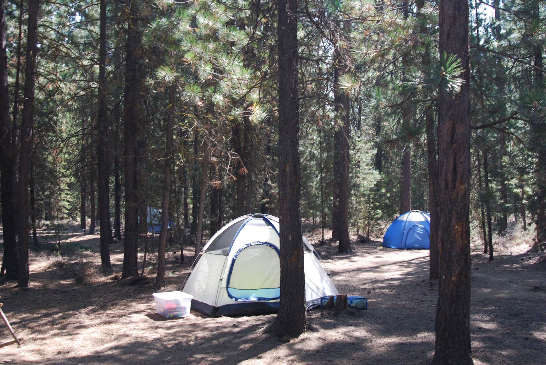 Camper submitted image from Gull Point Campground - 5