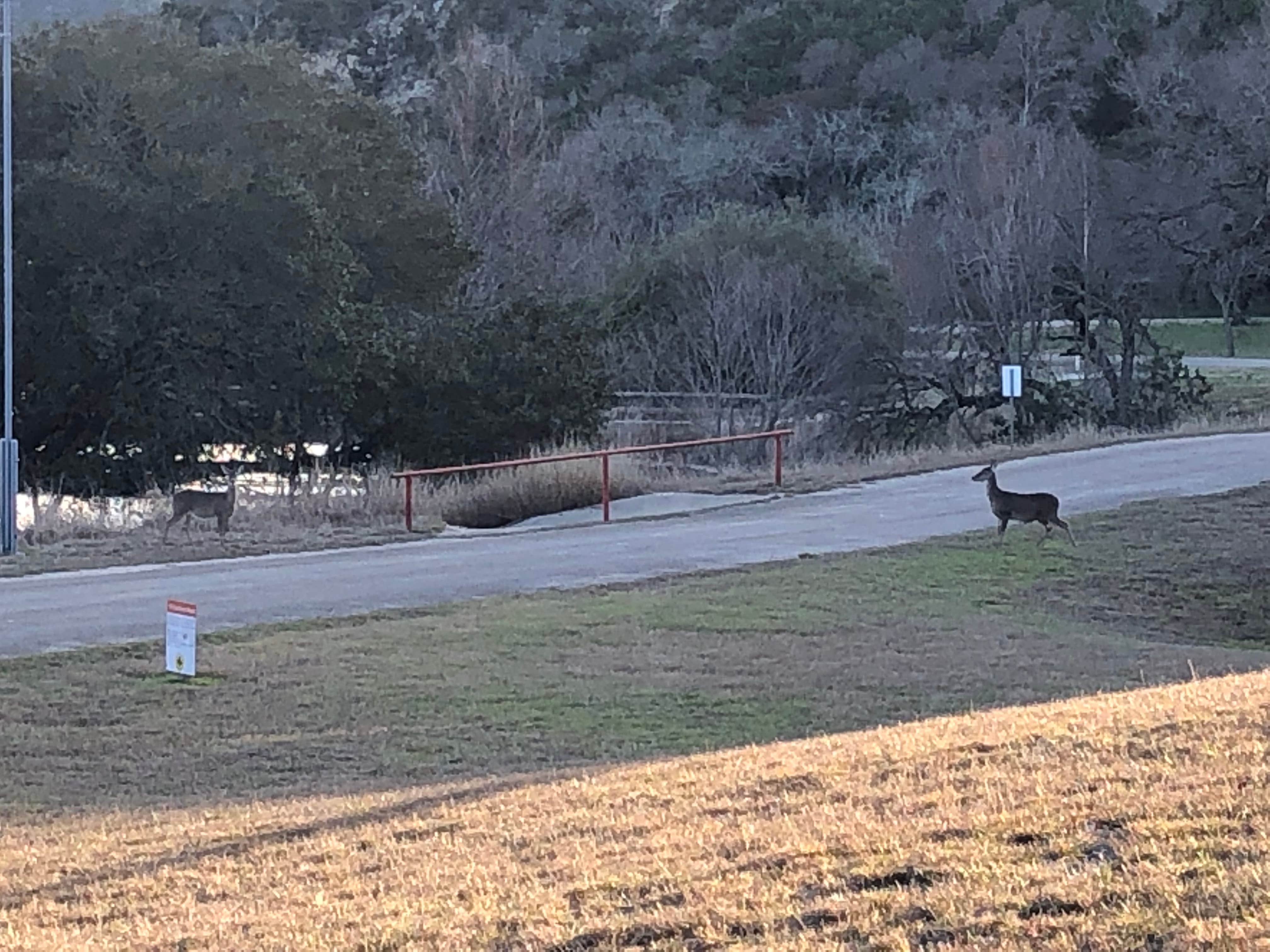Ron S.'s photo of camping with pets at Texas Hill Country Resort near Bandera, TX