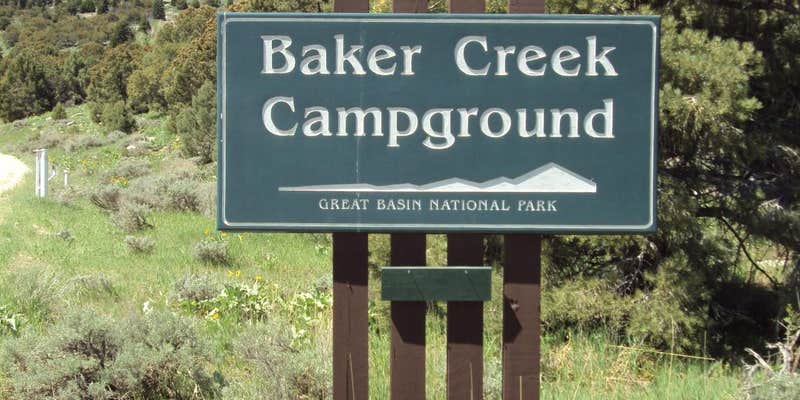 Camper submitted image from Baker Creek Campground — Great Basin National Park