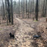 Review photo of James H 'Sloppy' Floyd State Park Campground by Shelly S., February 25, 2019