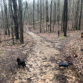 Review photo of James H 'Sloppy' Floyd State Park Campground by Shelly S., February 25, 2019