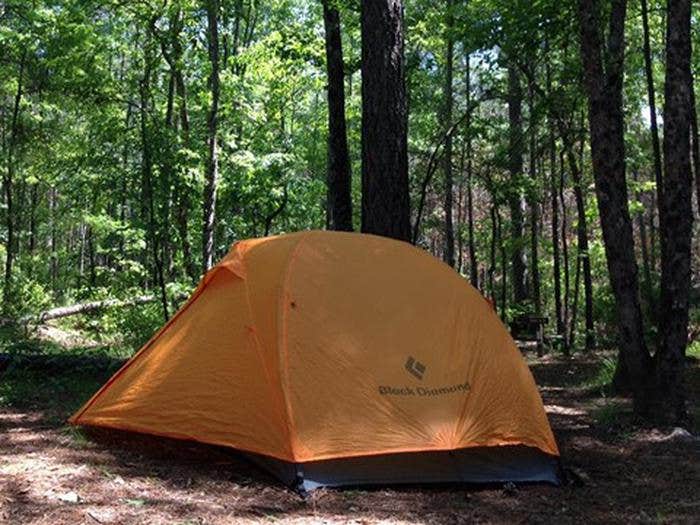 Camper submitted image from Longleaf Campground — Congaree National Park - 1