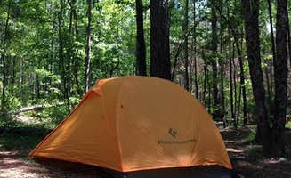 The Dyrt's photo of tent camping at Longleaf Campground — Congaree National Park near Eutawville, SC