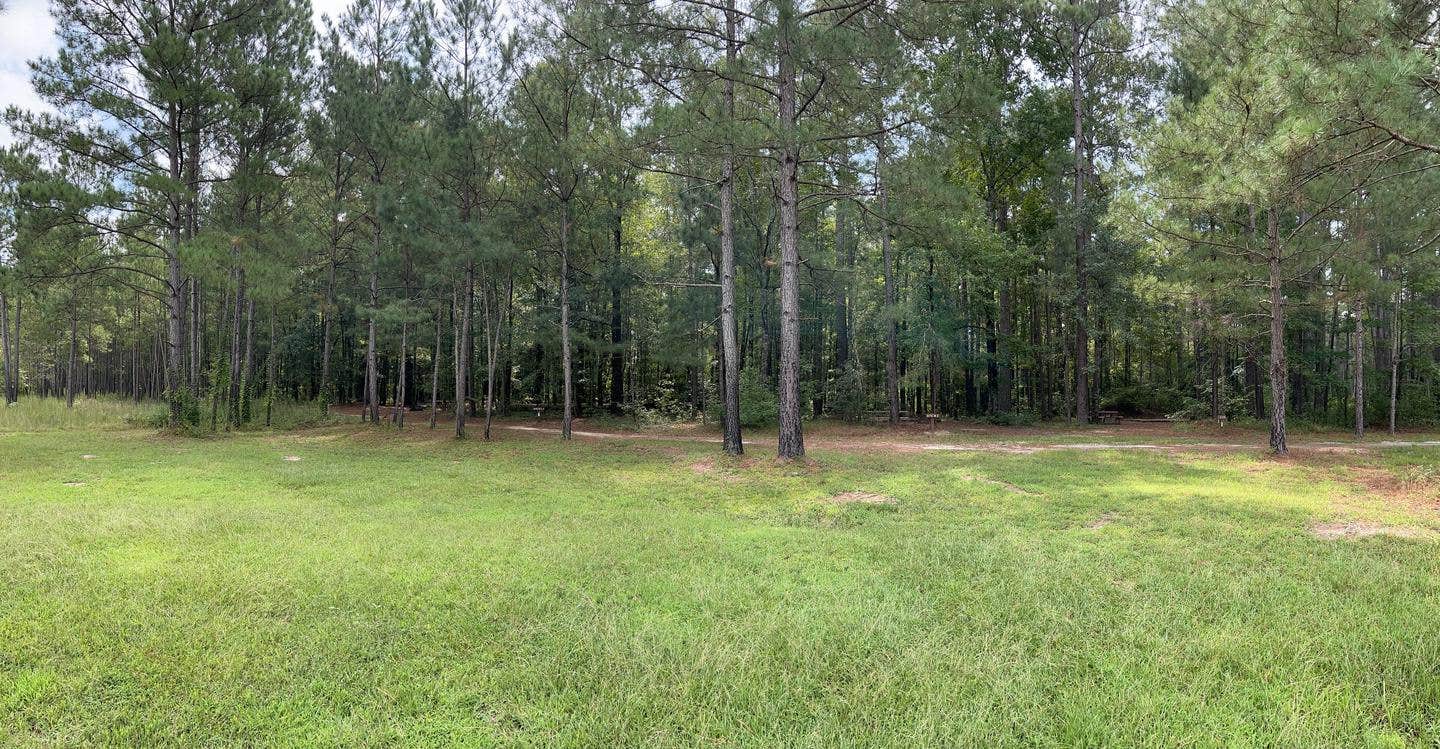 Camper submitted image from Longleaf Campground — Congaree National Park - 1