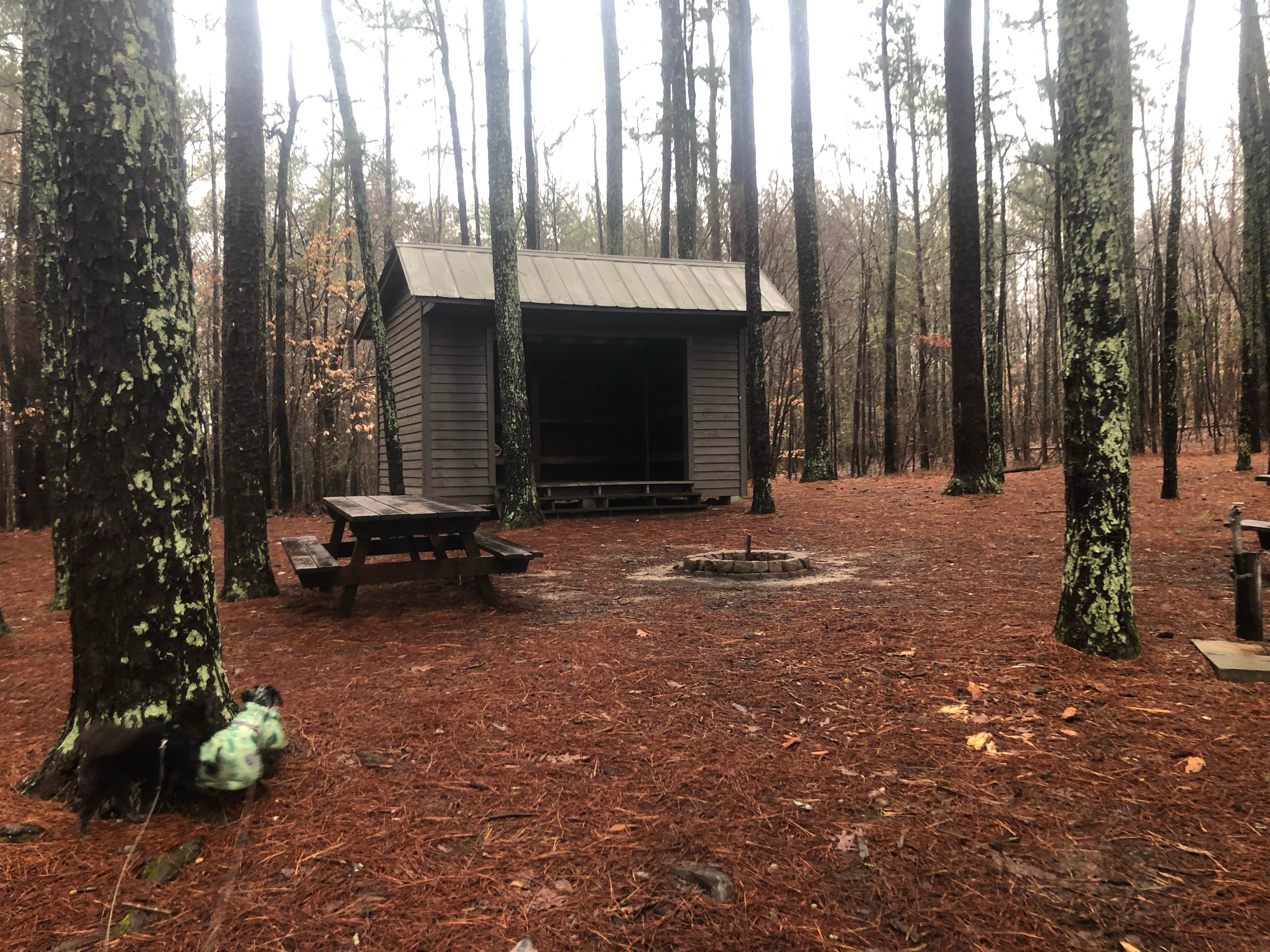 Shelly S.'s photo of a cabin at James H 'Sloppy' Floyd State Park Campground near Villanow, GA