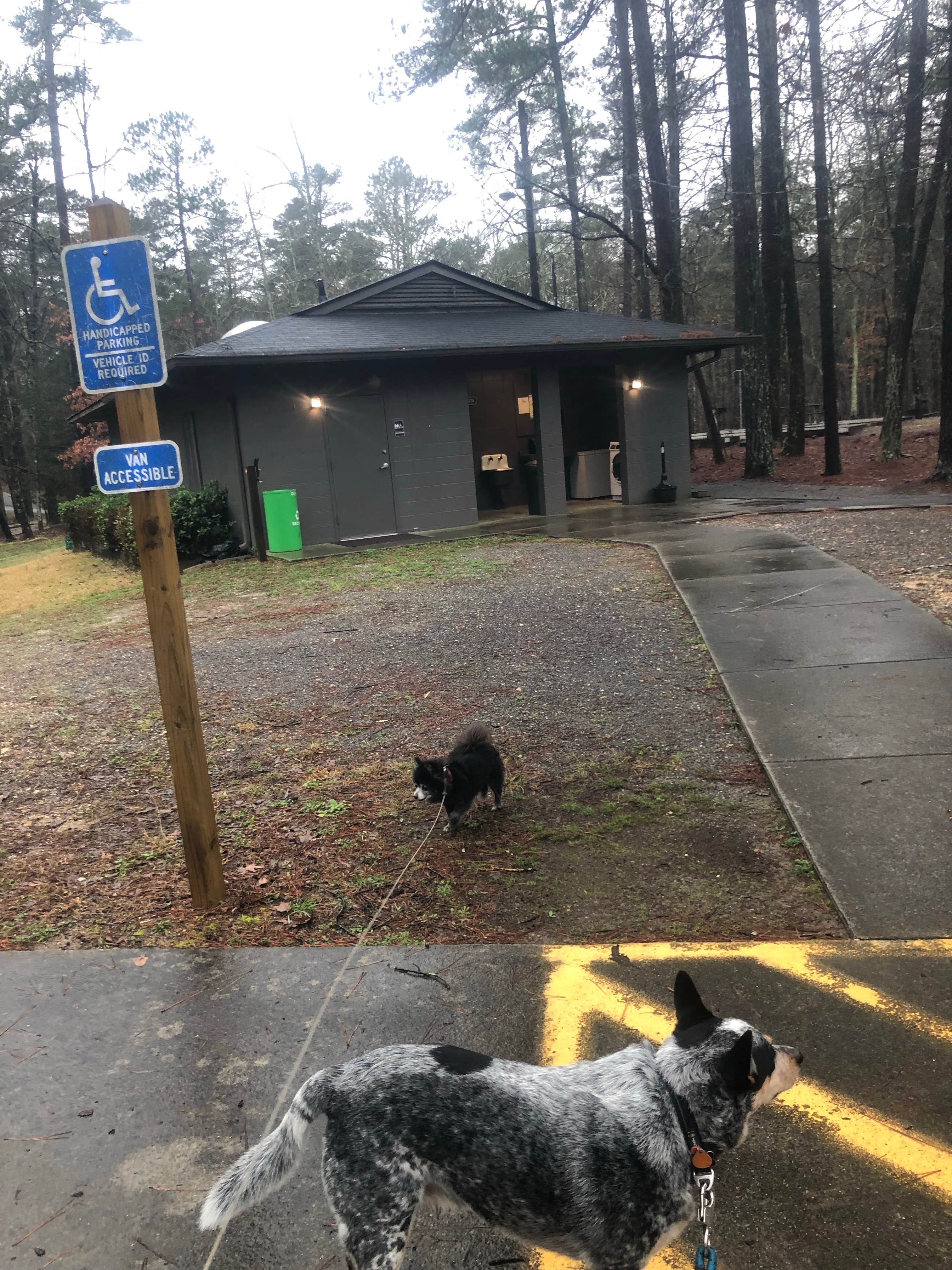 Shelly S.'s photo of camping with pets at James H 'Sloppy' Floyd State Park Campground near Fort Payne, AL