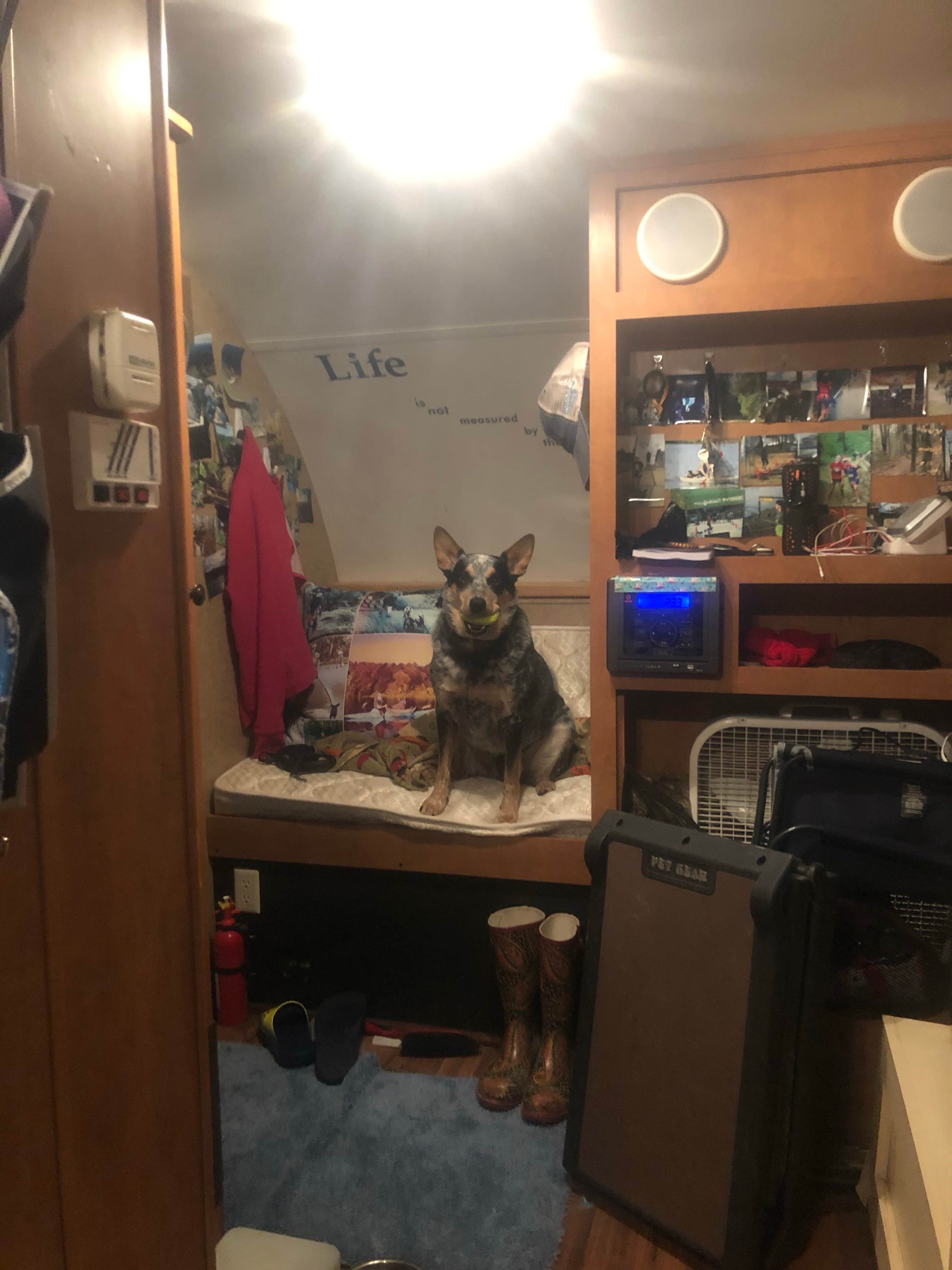 Shelly S.'s photo of glamping accommodations at James H 'Sloppy' Floyd State Park Campground near Dutton, AL