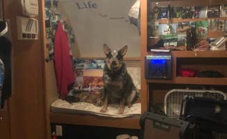 Shelly S.'s photo of glamping accommodations at James H 'Sloppy' Floyd State Park Campground near Cedartown, GA