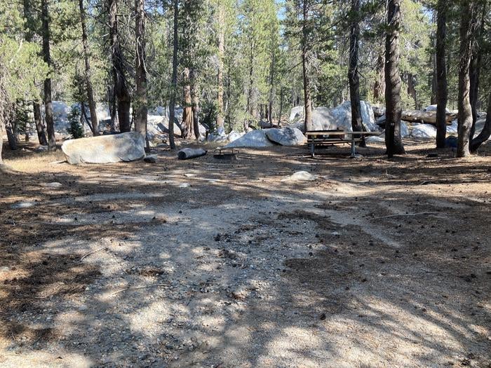 Camper submitted image from Porcupine Flat Campground — Yosemite National Park - 2