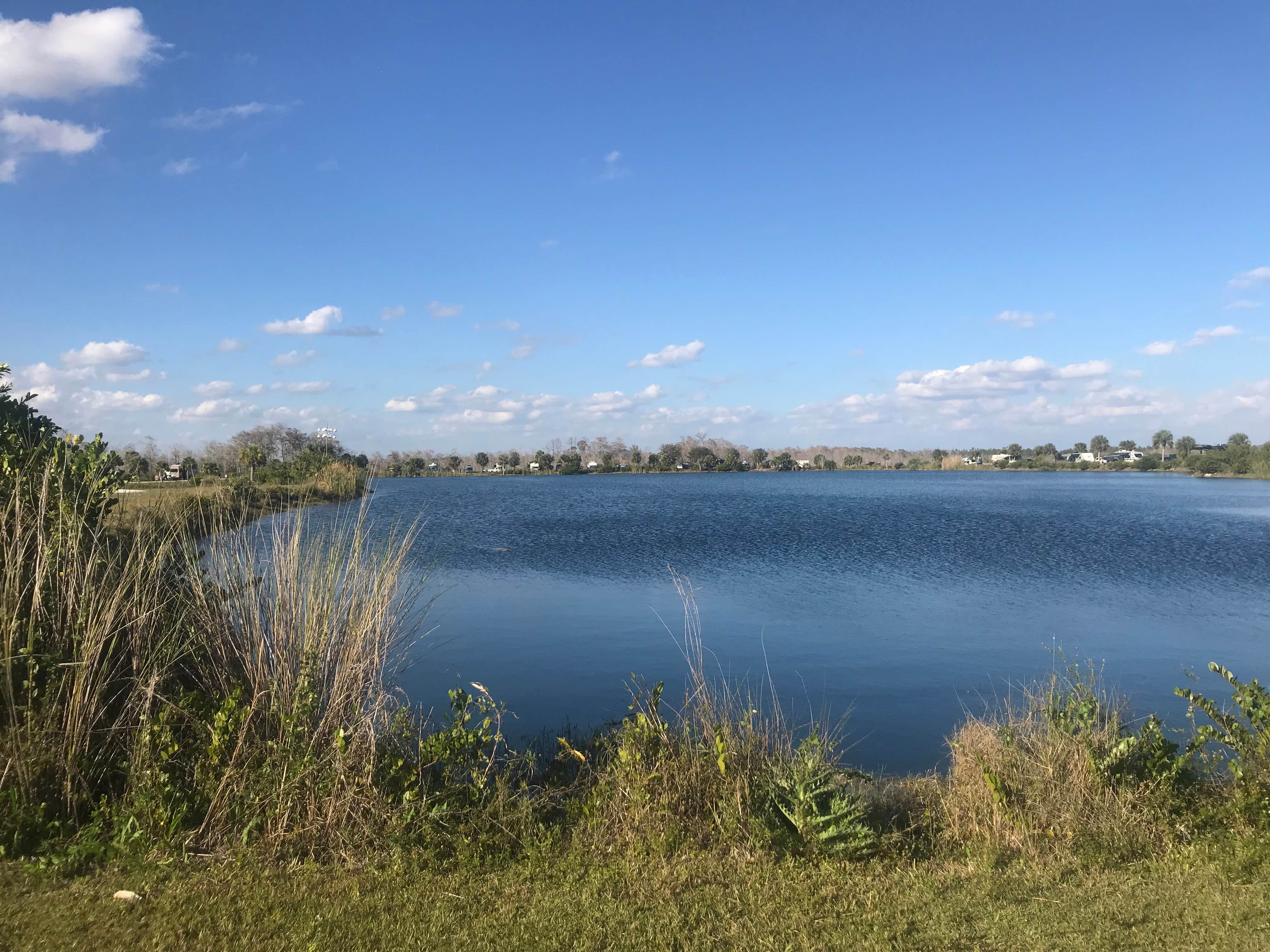 Camper submitted image from Monument Lake Campground — Big Cypress National Preserve - 3