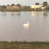 Review photo of Monument Lake Campground — Big Cypress National Preserve by Kelly L., February 25, 2019