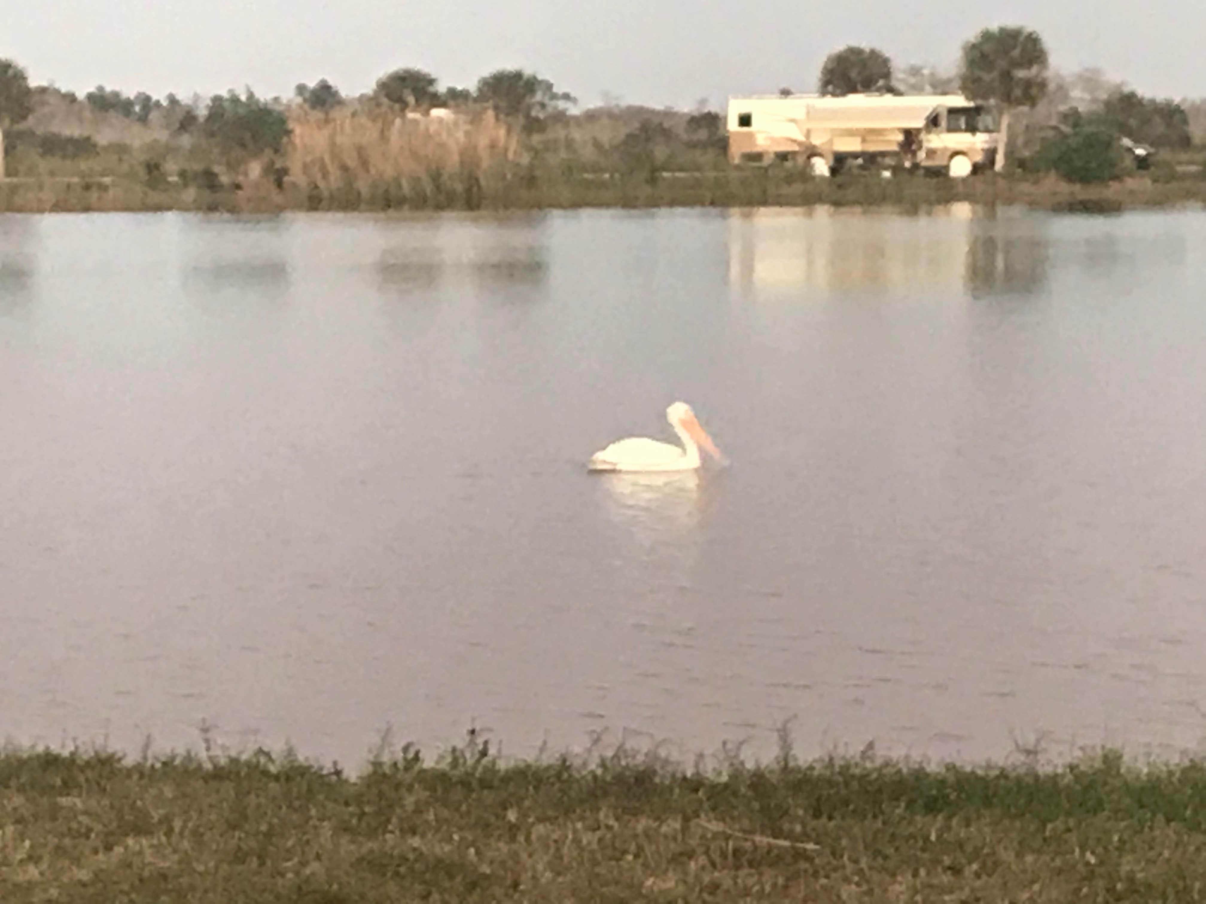 Camper submitted image from Monument Lake Campground — Big Cypress National Preserve - 4