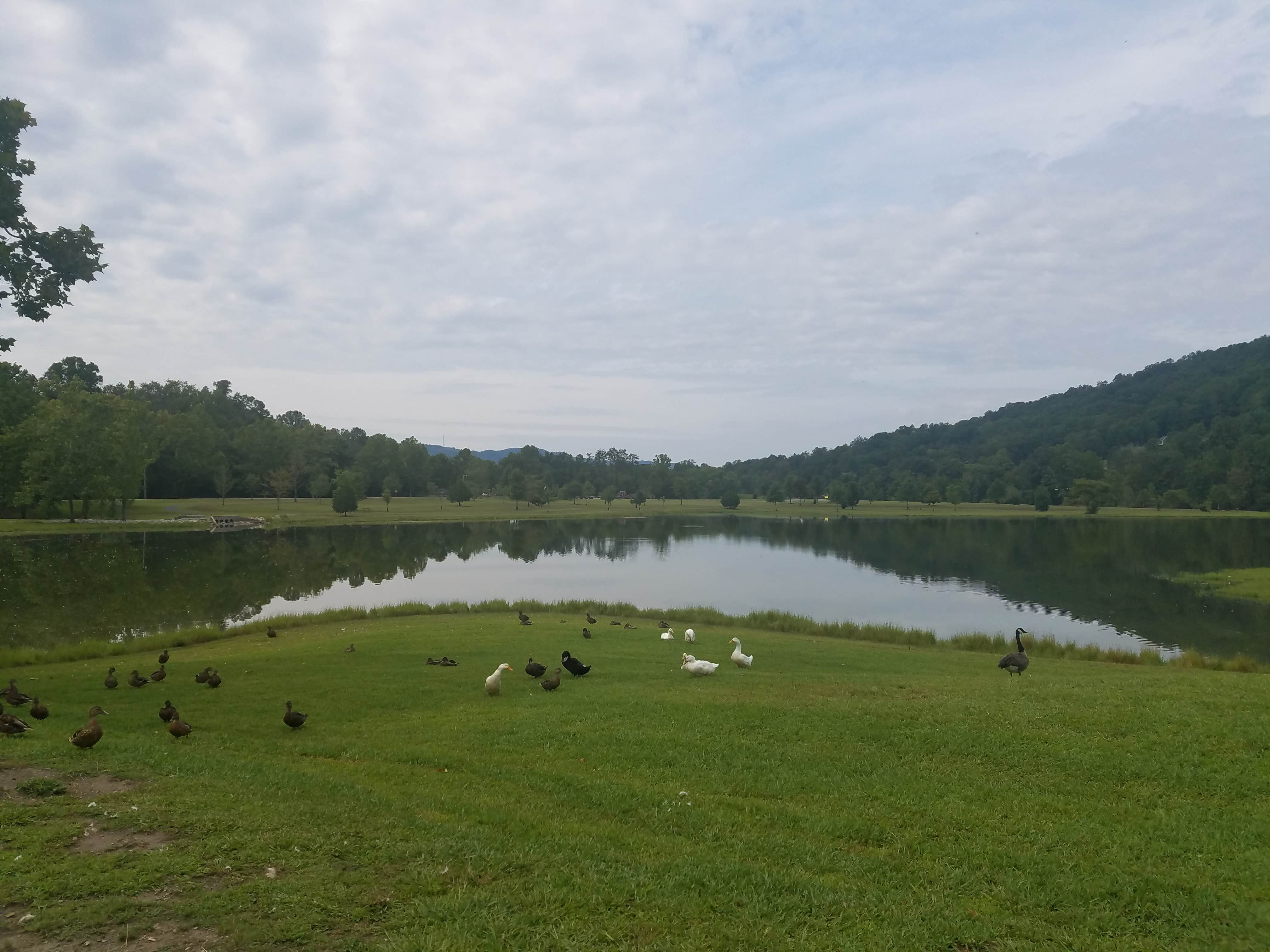 Camper submitted image from Indian Mountain State Park Campground — Indian Mountain State Park - 2