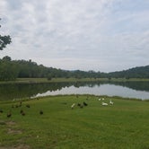 Review photo of Indian Mountain State Park Campground — Indian Mountain State Park by Emily W., August 24, 2016