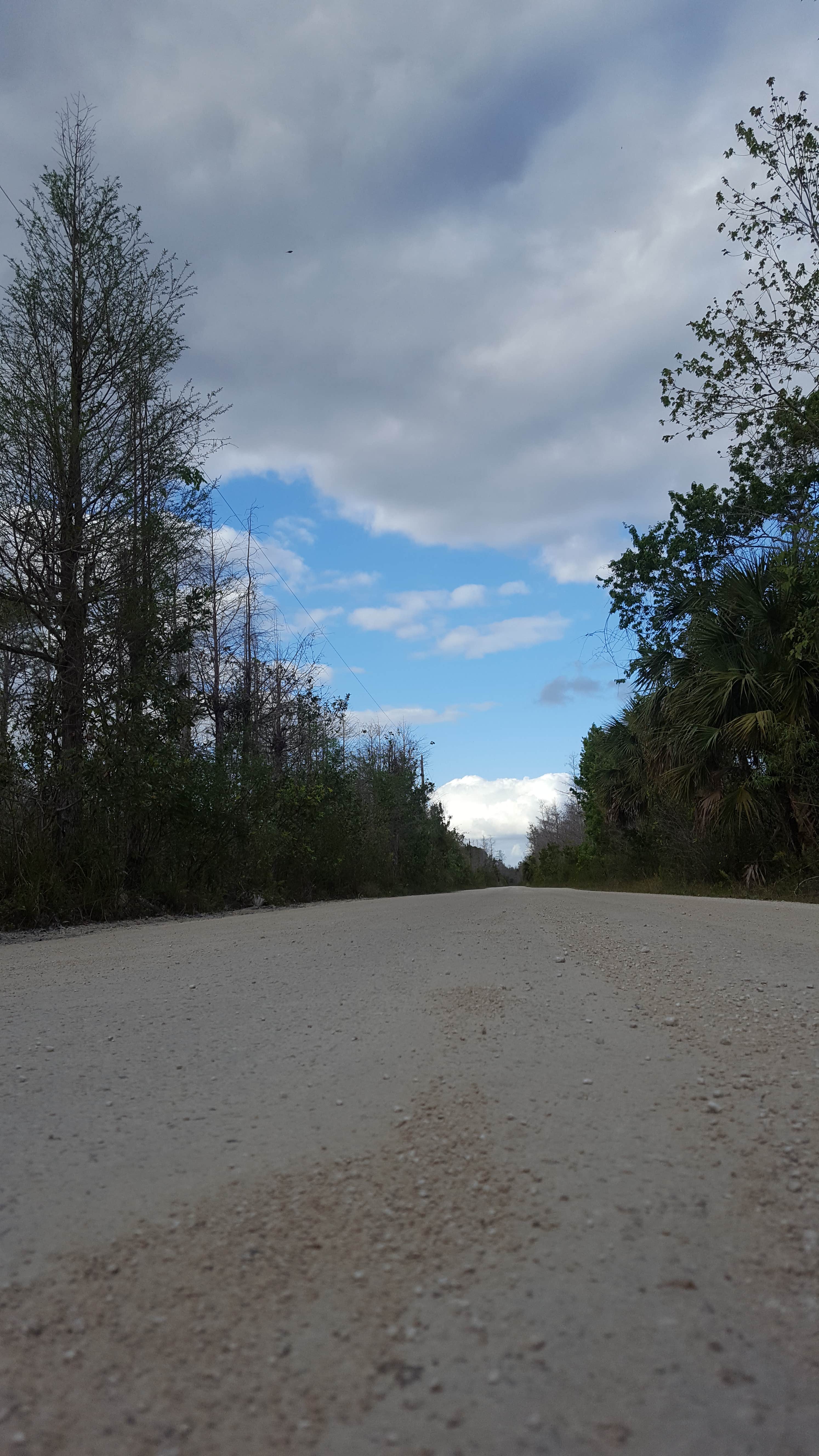 Camper-submitted photo at Burns Lake Campground — Big Cypress National Preserve near Big Cypress National Preserve
