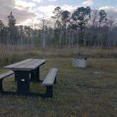 Review photo of Burns Lake Campground — Big Cypress National Preserve by Melissa W., February 25, 2019