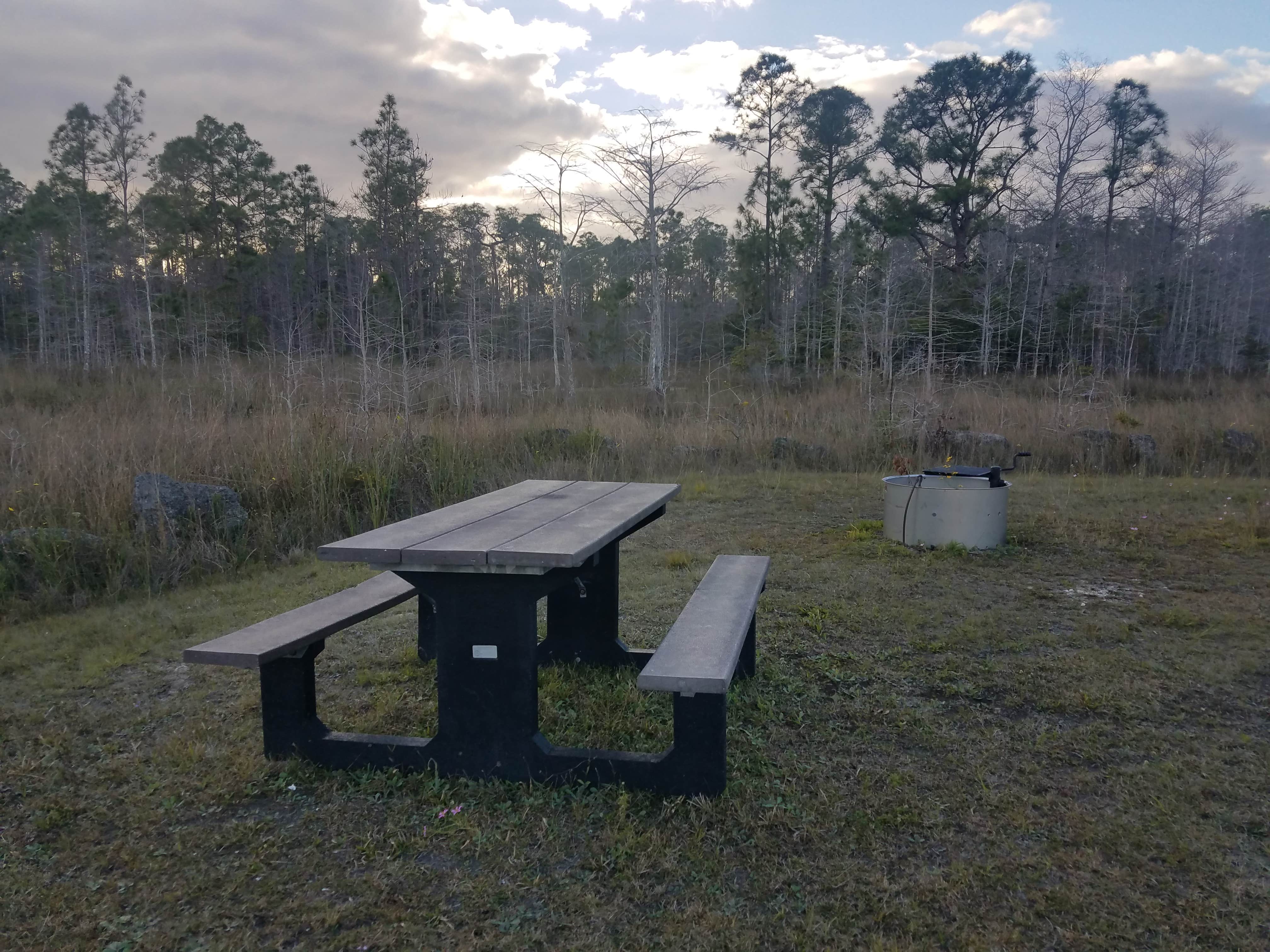 Camper submitted image from Burns Lake Campground — Big Cypress National Preserve - 3