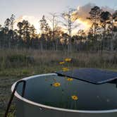 Review photo of Burns Lake Campground — Big Cypress National Preserve by Melissa W., February 25, 2019