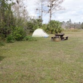 Review photo of Burns Lake Campground — Big Cypress National Preserve by Melissa W., February 25, 2019