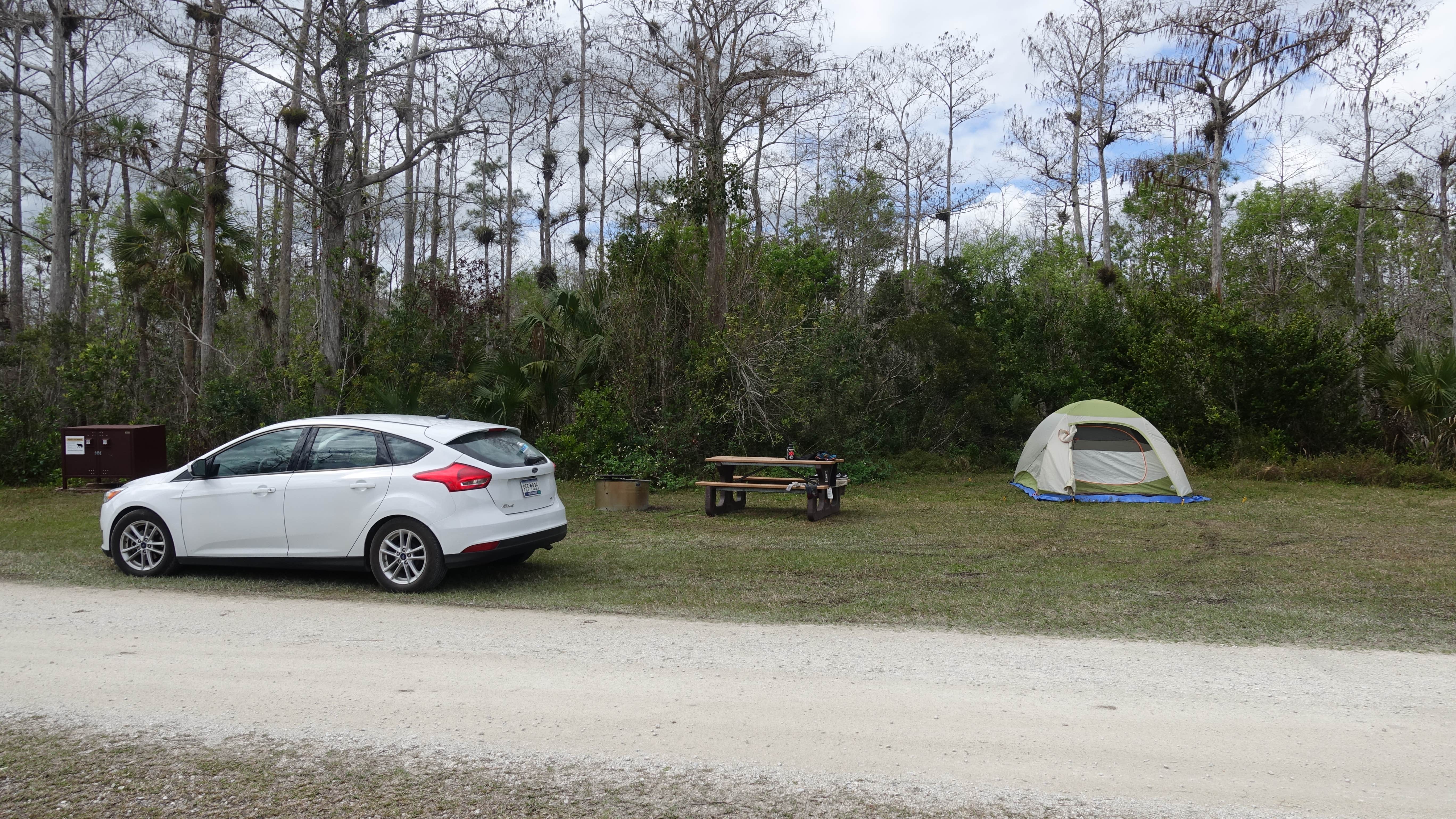 Melissa W.'s photo at Burns Lake Campground — Big Cypress National Preserve near Big Cypress National Preserve